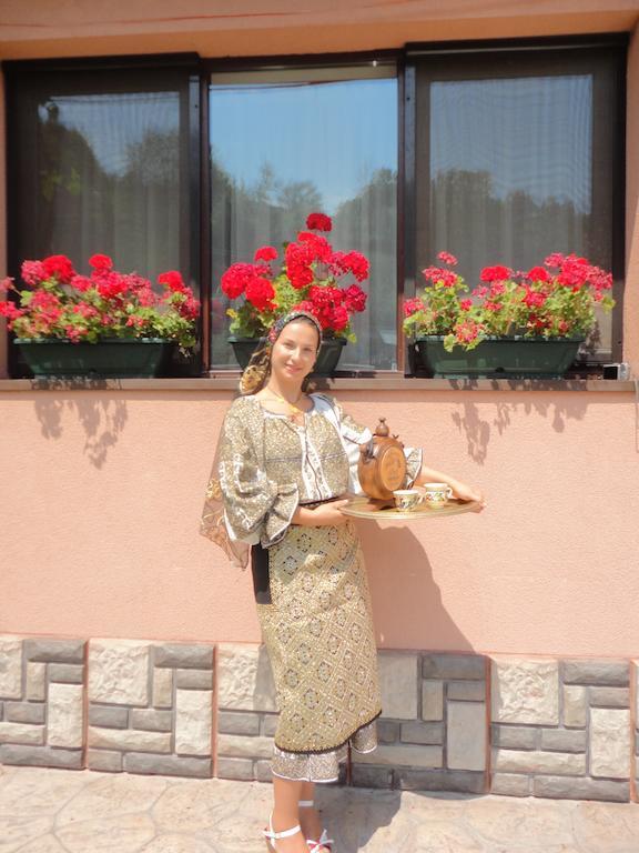 Rucăr Pensiune Maria מראה חיצוני תמונה
